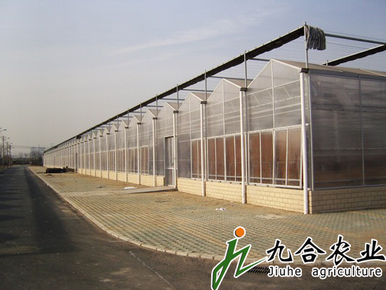 陽光板連棟溫室
